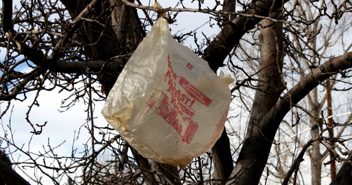 Anne Arundel County plastic bag ban takes effect Monday