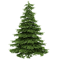 Christmas_tree_seasonal